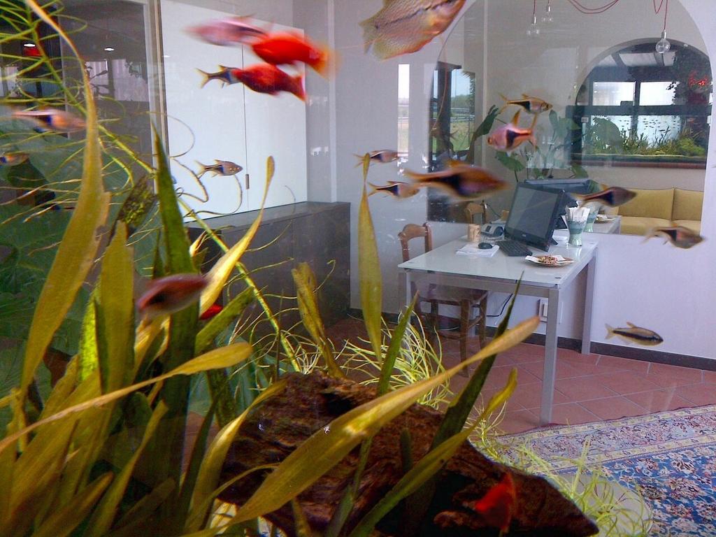 Locanda Ai Due Orsi มิลาน ภายนอก รูปภาพ