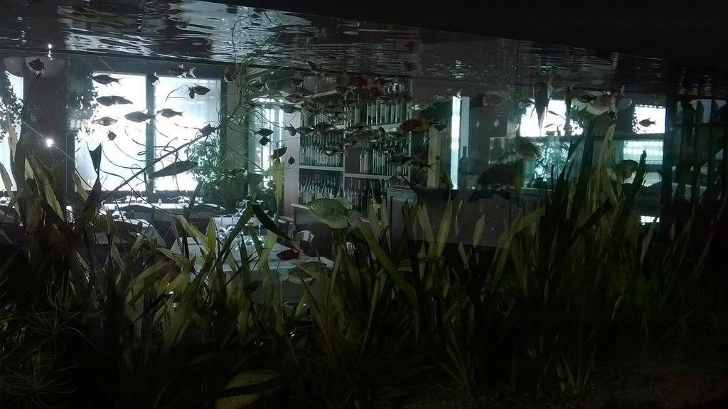 Locanda Ai Due Orsi มิลาน ห้อง รูปภาพ